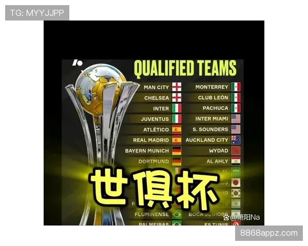 世界杯豪门球队阵容稳定性排行榜 世界杯豪门球队阵容稳定性排行榜